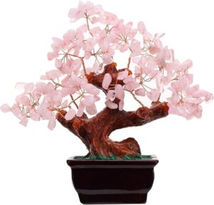 Rose pink money tree