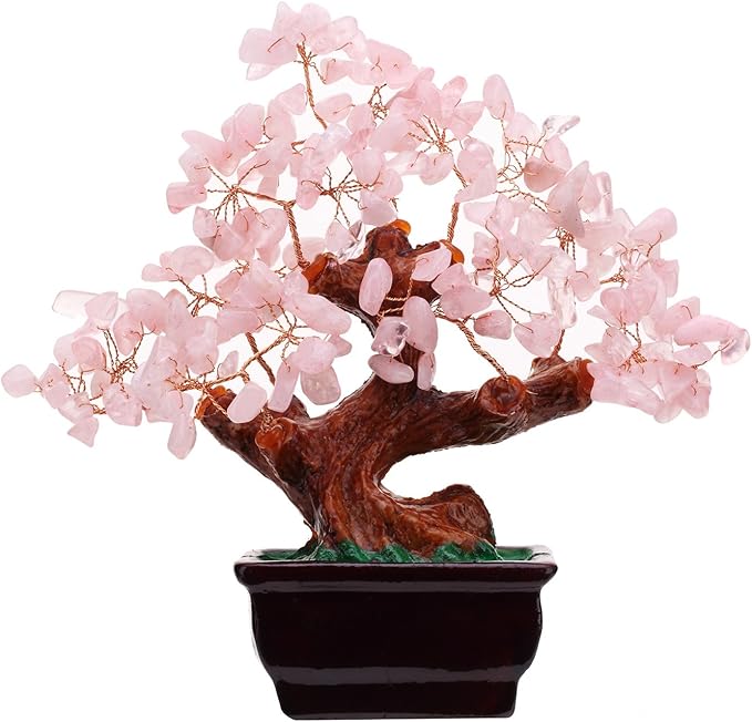 Rose pink money tree